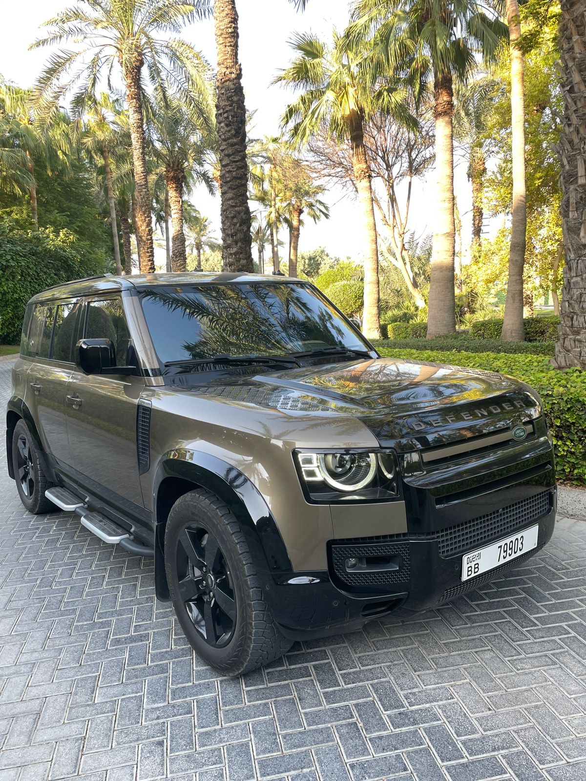 Defender